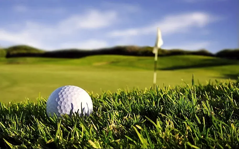 A golf ball in the rough