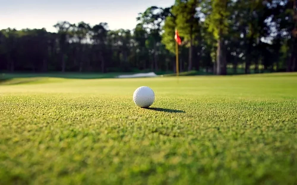 A golf ball on the green
