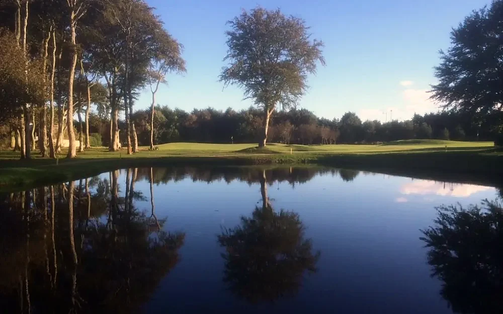 The pond at Portlethen reflecting the trees
